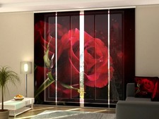 Set di 4 Tende a Pannello