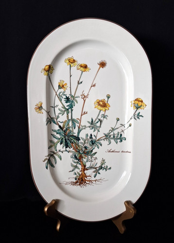 Villeroy boch botanica - villeroy,