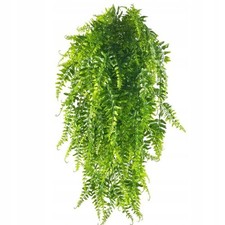 Felce artificiale pianta