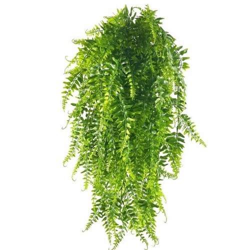 Felce artificiale pianta