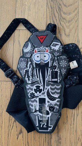 Paraschiena sci snowboard - sci,