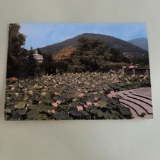 VILLA TARANTO VERBANIA PALLANZA- CARTOLINA  A COLORI NON VIAGGIATA MAI SPEDITA