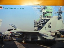 Hasegawa 1/48 F-14D TOMCAT