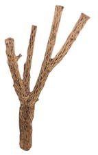 35” X 16” X 8” Cholla