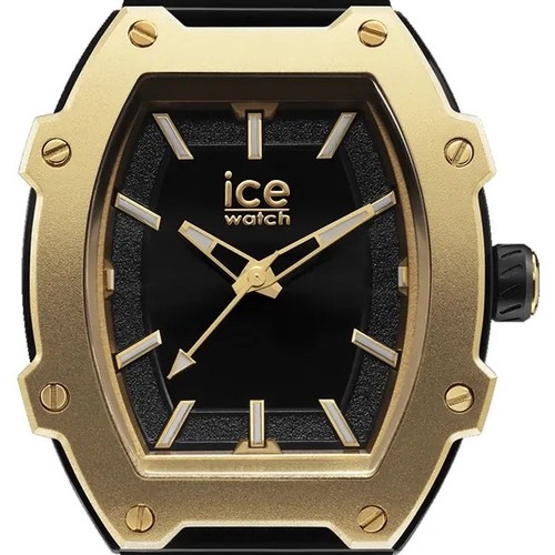 Ice watch - ice, boliday
