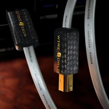 WIREWORLD PLATINUM STARLIGHT 8 USB 2.0 A - B 0.6M NUOVO