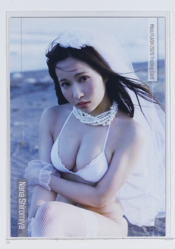 Nana shiramiya modello - nana, n.42
