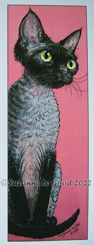 Devon rex cat - print, large