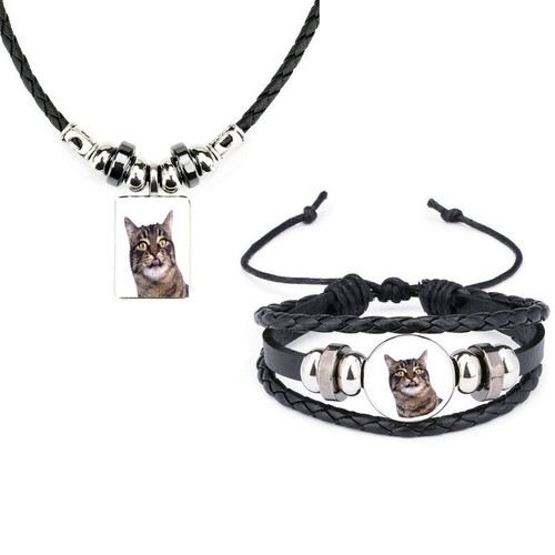 Set manx cat pet - manx,
