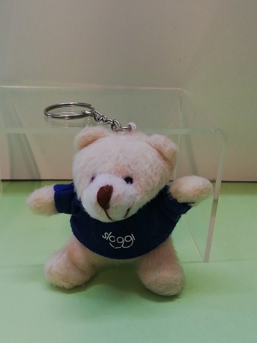 Orso orsetto bear - orso,