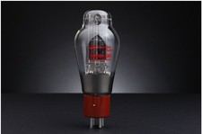 1PZ ShuGuang Amplificatore