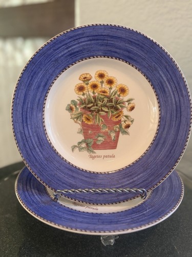 Wedgwood sarah garden - wedgwood, sarah’s