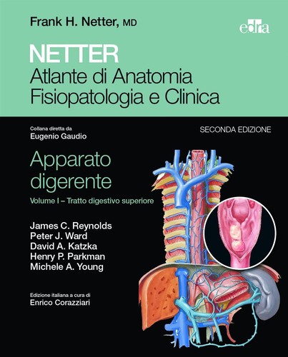 Netter atlante anatomia - netter.,
