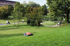 Husqvarna AM 550 Automower®