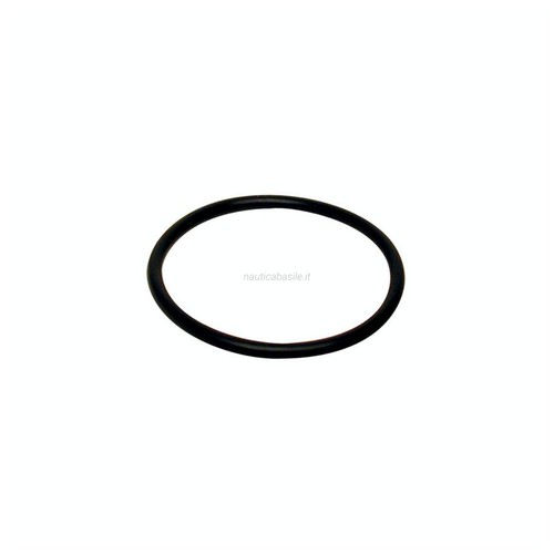 Ring piede evinrude johnson - o-ring,