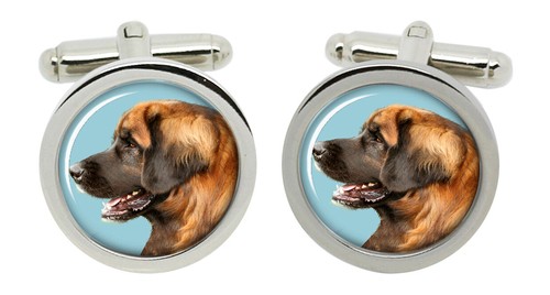 Leonberger cane gemelli - gemelli, in