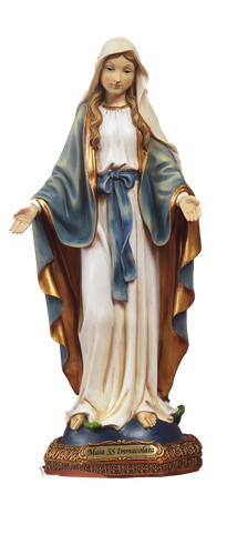 Statua madonna immacolata - madonna,