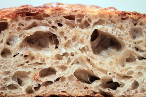Lievito antipasto - lievito,