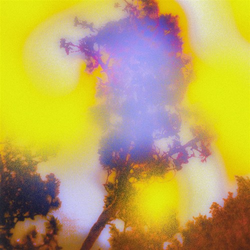 Arne huber still - arne,