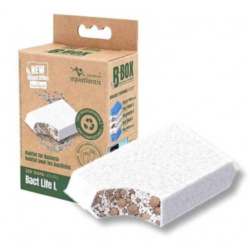 Aquatlantis box bact - bact, life