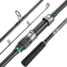 Canna da Pesca Surf IM8 Carbon