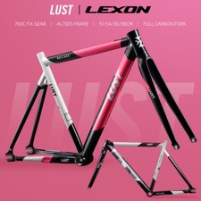 Fixed gear frameset - frameset, extra