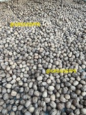 5 KG NOCI SORRENTO BIO secche NUOVA RACCOLTA 2025/26 origine CAMPANIA