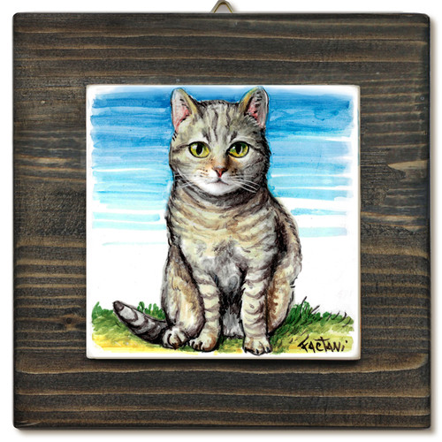 Gatto europeo quadro con - gatto,