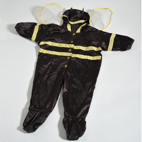 Costume carnevale ape - costume, da