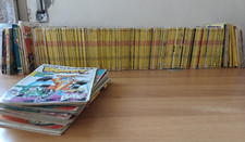 LOTTO TOPOLINO Fascia
