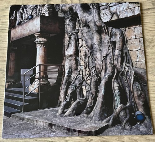 Serpente vazio ecstatic - fe/vazio, lp