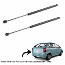 2  MOLLE A GAS PISTONI