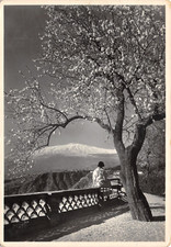 B5253) TAORMINA GIARDINO PUBBLICO MANDORLO FORE ETNA ANIMATA VIAGGIATA MESSINA