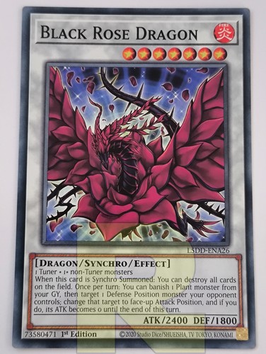 Drago rosa nera black - nera, rose