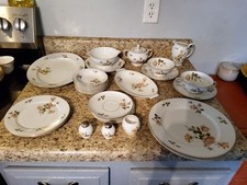 Piatti Vintage Rosenthal Selb