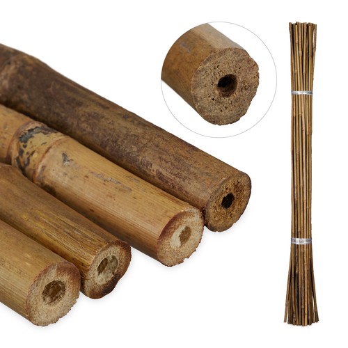 Canne bambù paletti per - di,