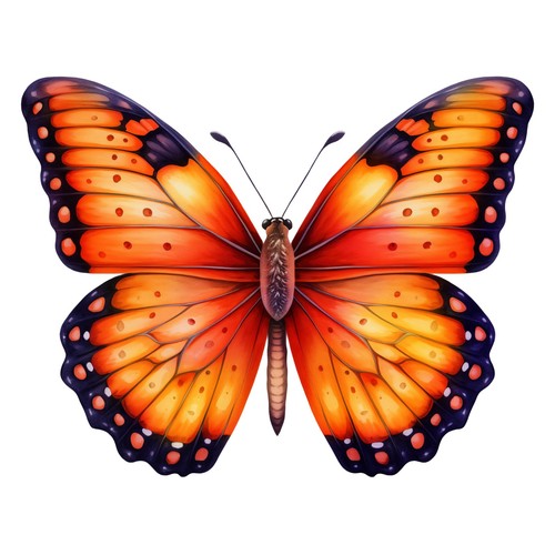 Adesivi farfalla - 7,