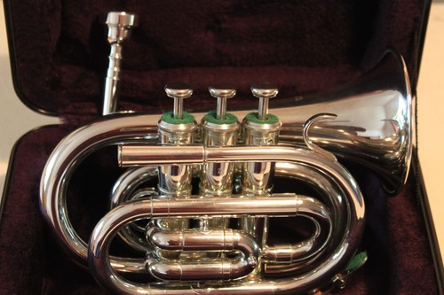 Tromba tascabile nuova - tromba, bb