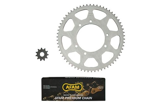 Kit trasmissione catena afam - trasmissione,