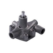 Pompa Acqua per Massey