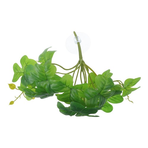 Piante per rettili verde - rettili:,