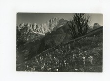 Cartolina - Dolomiti - Monte