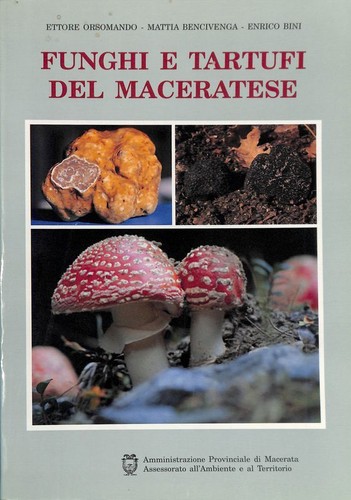 Funghi tartufi del - funghi, e