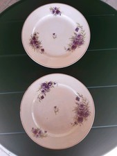 S. RICHARD GINORI 2 PIATTI ANTICHI DA COLLEZIONE TEMA VIOLE DEL PENSIERO  ITALY 