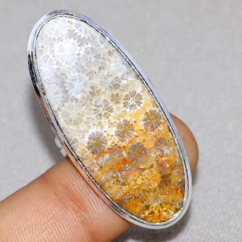 Anello corallo fossile