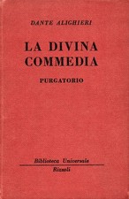 Dante Alighieri, LA DIVINA