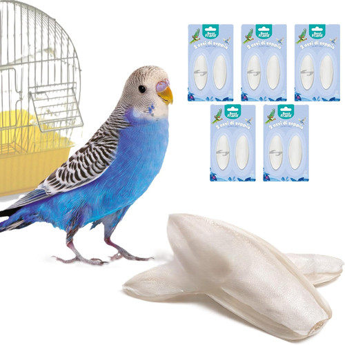 Osso seppia naturale con - -,