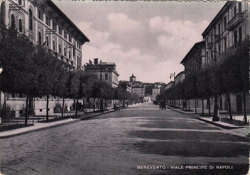 Ng0455 benevento viale - ng0455,
