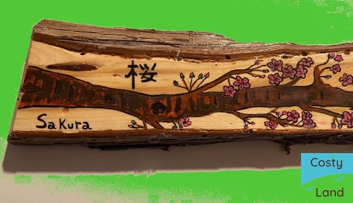 Dipinto mano legno - mano, su