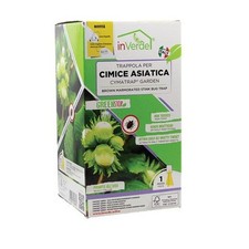 Trappola per Cimice Asiatica a